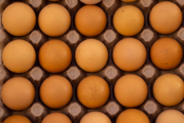 Organic Eggs